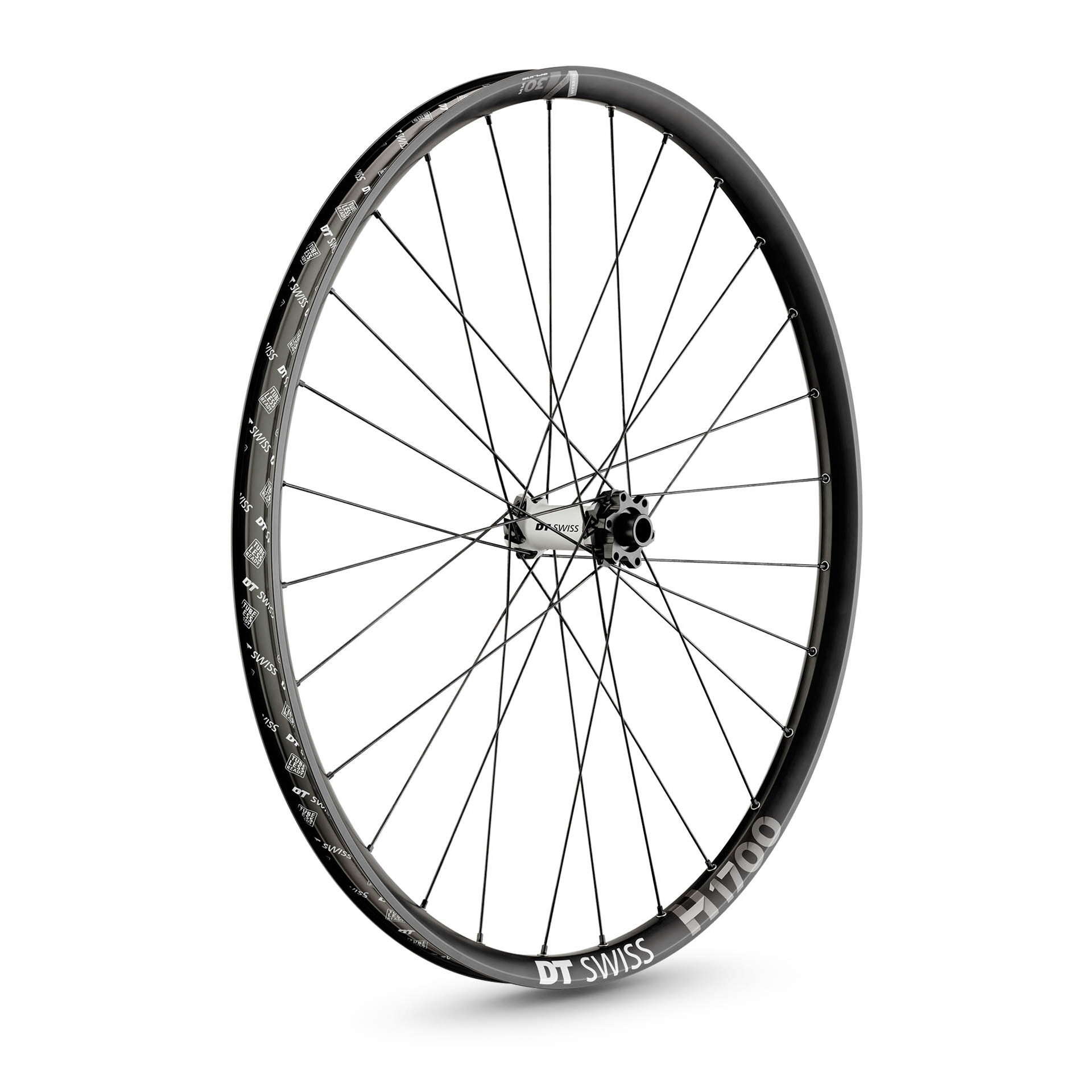 H 1700 Spline® 30 Hybrid Disc BOOST 29" E-MTB Front Wheel
