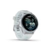 Forerunner® 570 Multisport Watch, 47 mm, AMOLED 