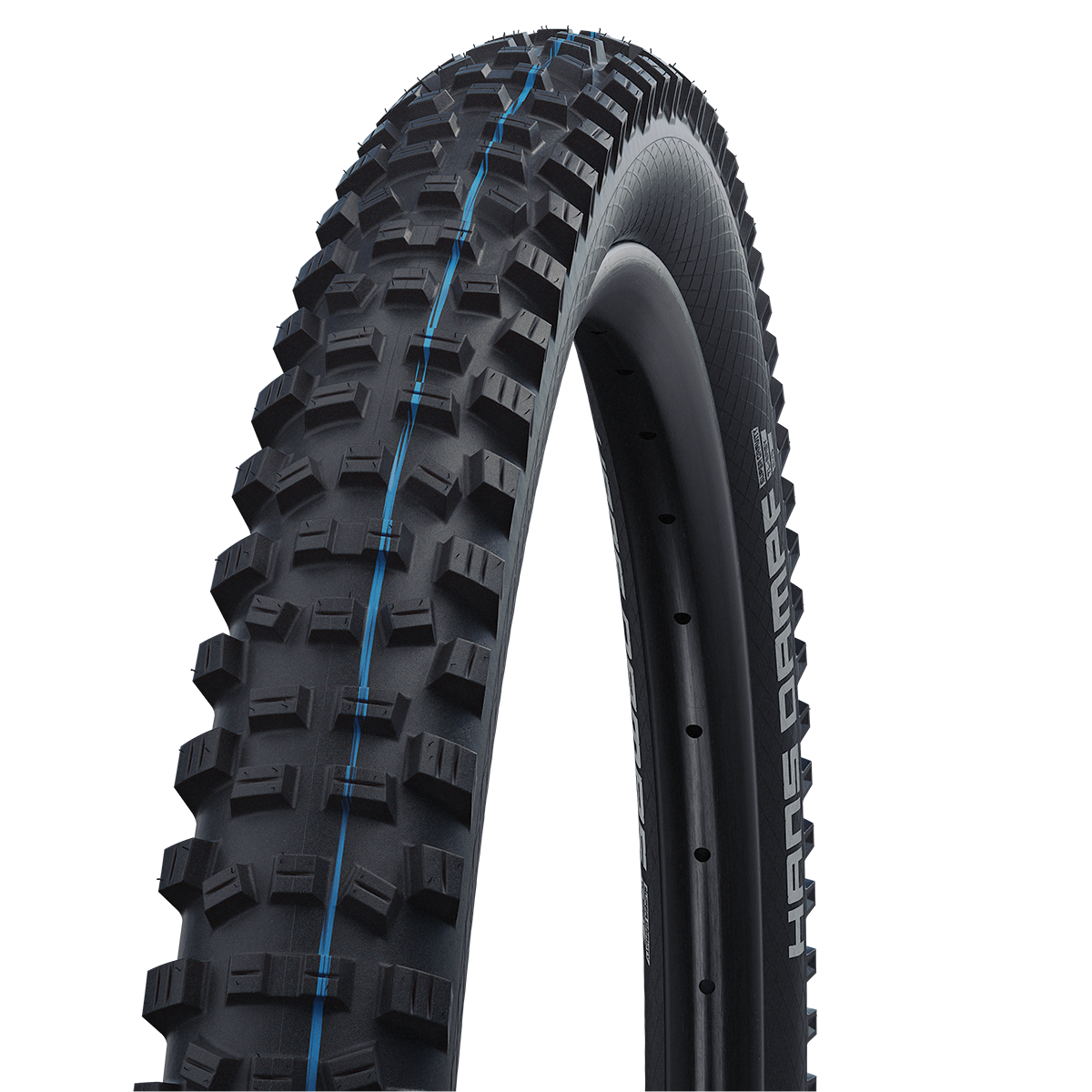 Hans Dampf Evolution Super Trail ADDIX Speedgrip TLE MTB-vouwband
