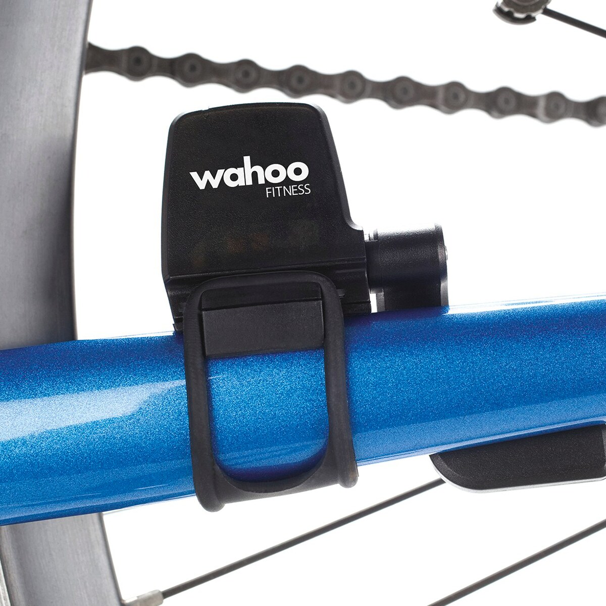 Shop BLUE SC Cadence and Speed Sensor 