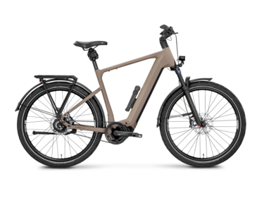 Mayor Plus 4
