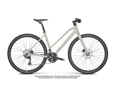 Sneak 2 MidStep Ausstellungsbike Größe : L (B-Ware)
