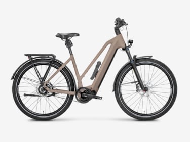 Mayor Plus 4