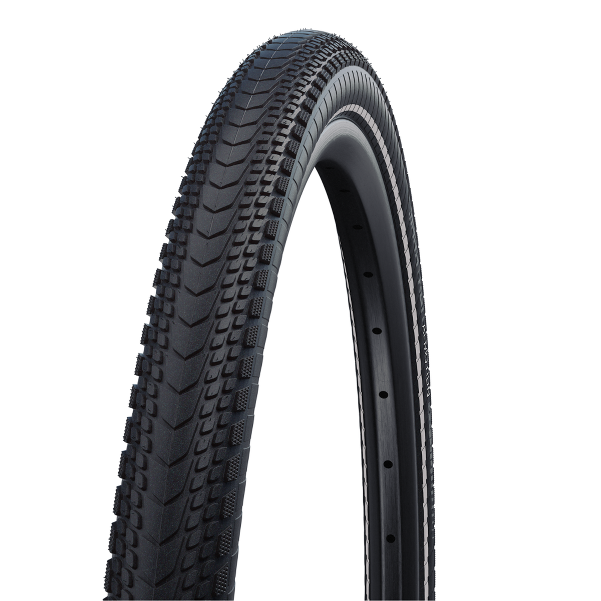 Schwalbe MARATHON ALMOTION Evolution Line Faltreifen