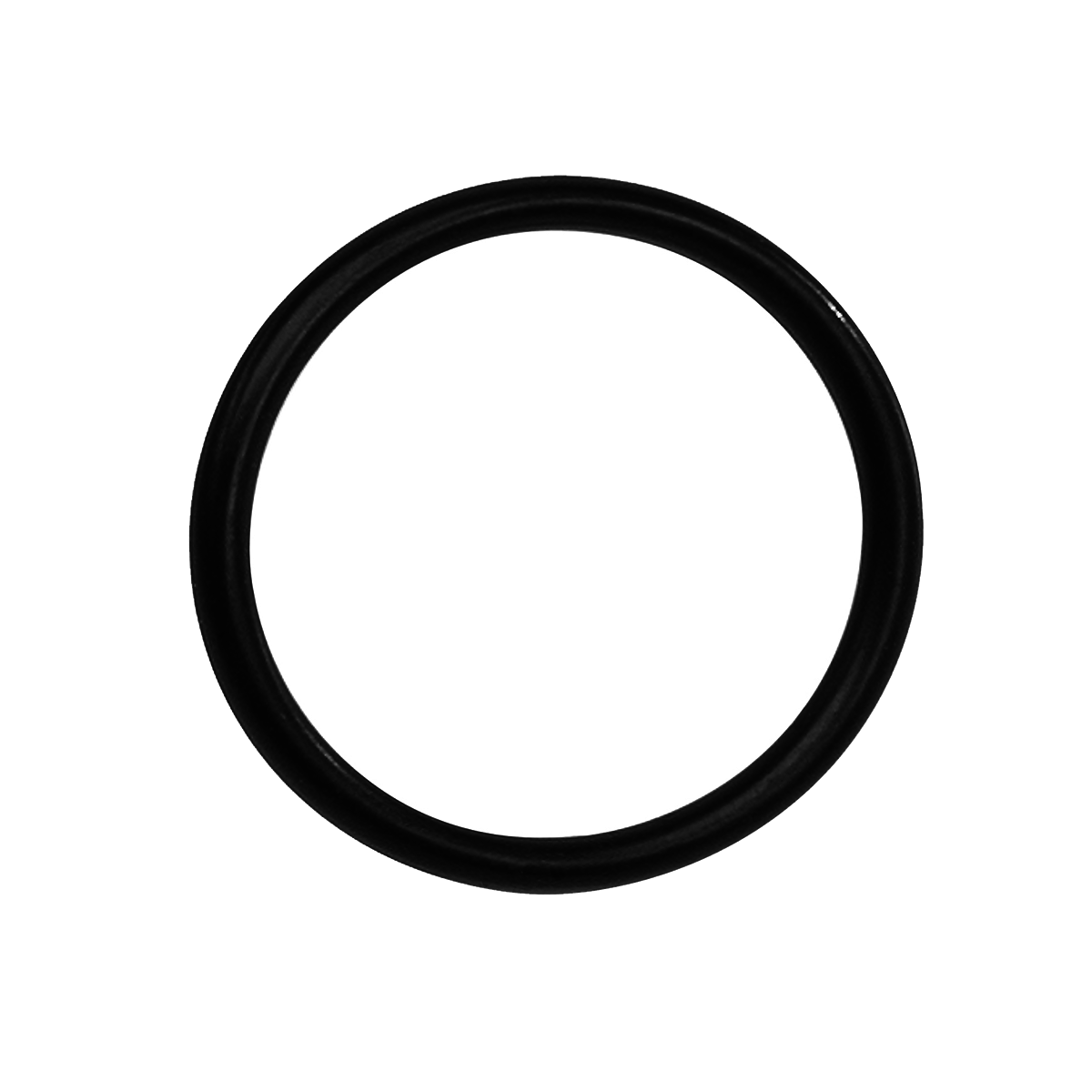 O-ring voor e-bike borgmoer kettingblad Bosch Active-Line Plus