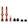 Tubeless Ventil Kit V2 MTB Road