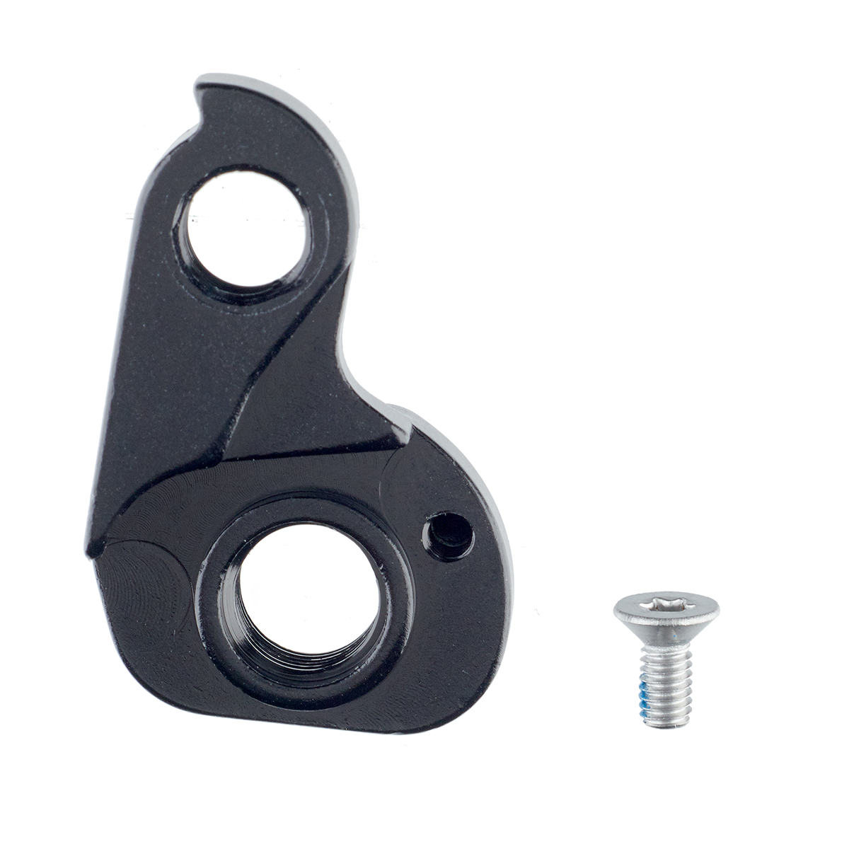 derailleur hanger 43