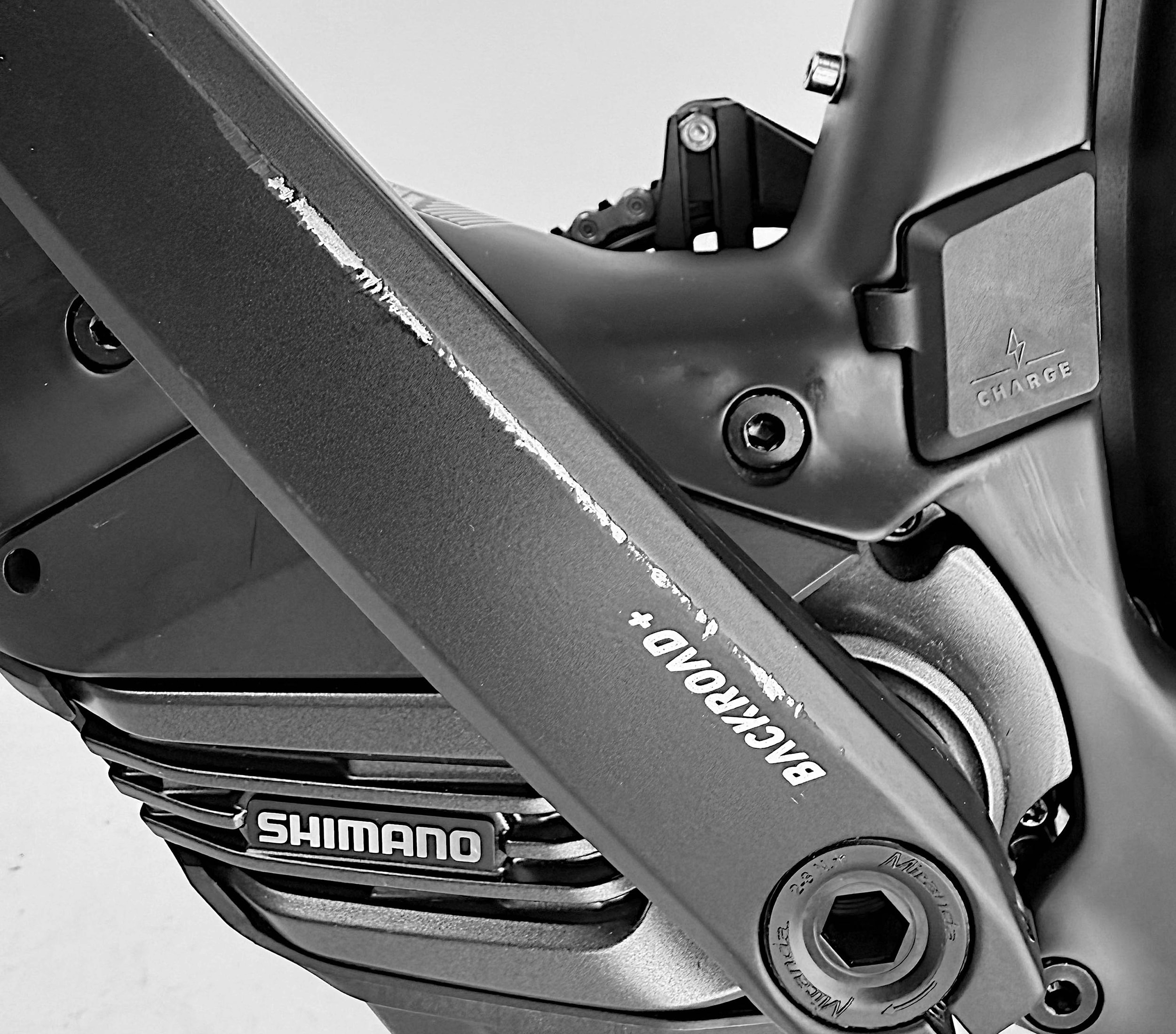 Backroad Plus EQ Flatbar Ausstellungsbike Größe : M (B-Ware) 