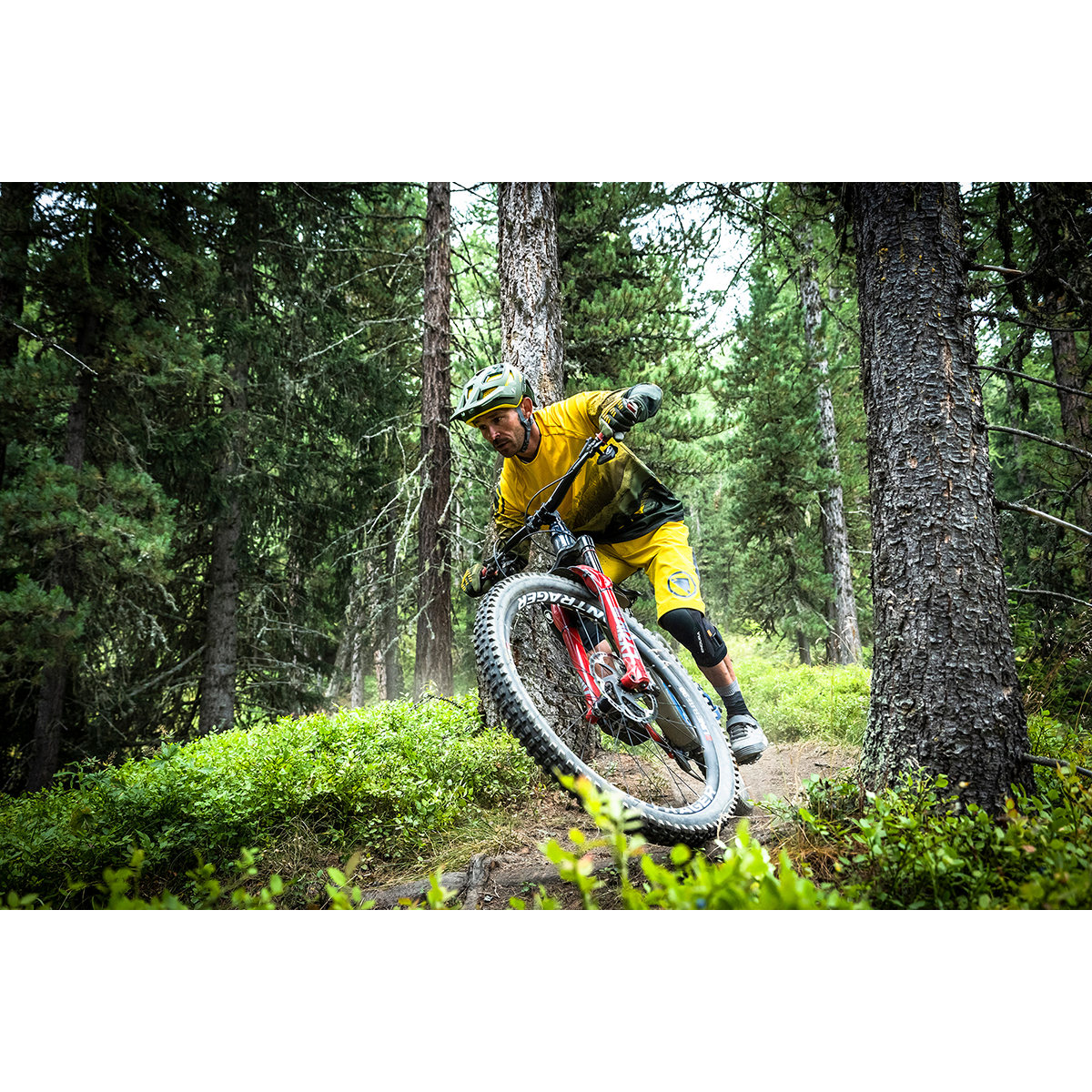 MT500 SCENIC T-SHIRT LTD Langarm Bikeshirt