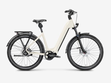 Mayor Plus 4 LowStep