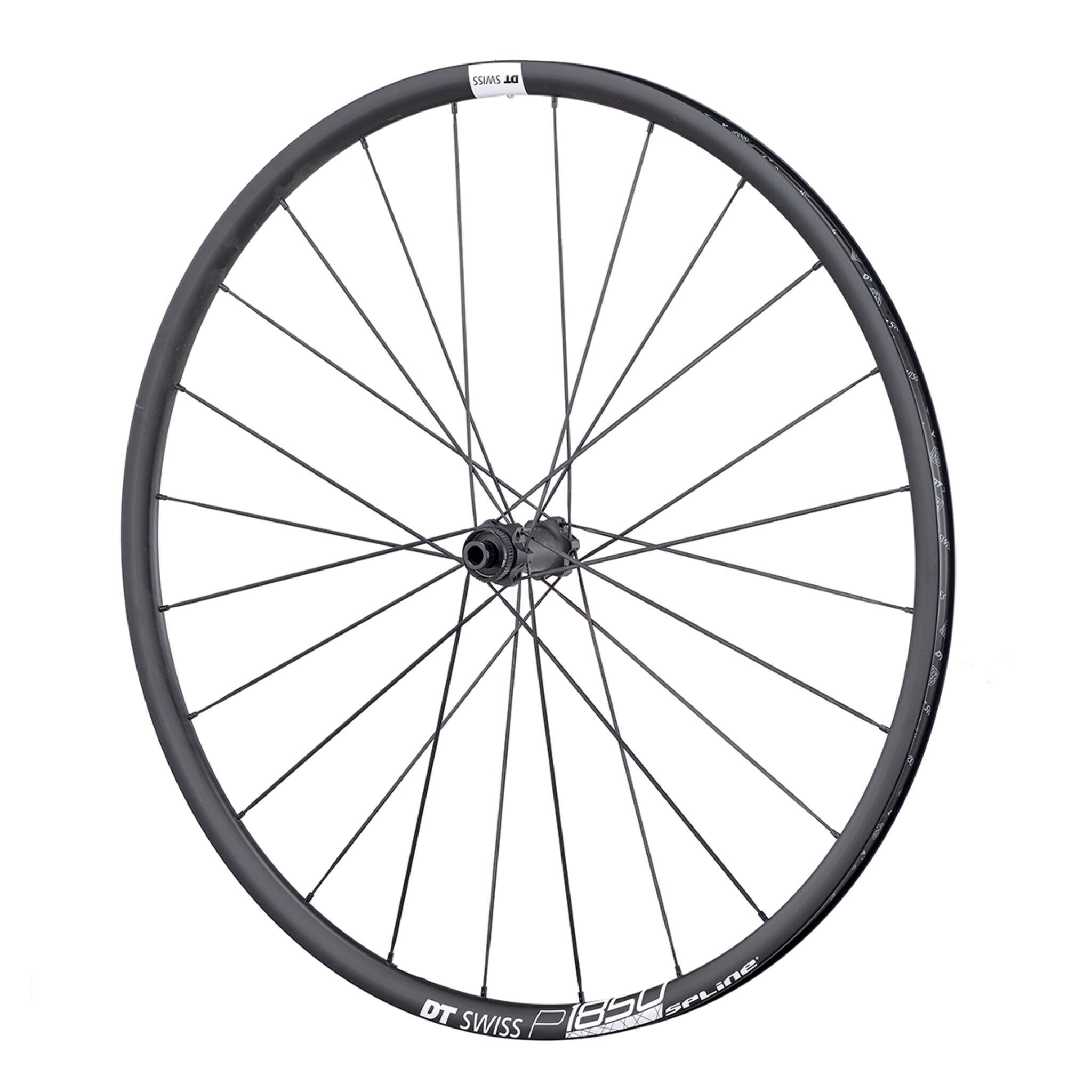 DT Swiss P 1850 Spline 23 db RennradVorderrad 28"/700C (12x100mm TA) jetzt kaufen ROSE Bikes